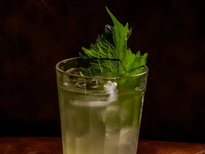 Shiso Sour na taça martini com fundo cobalto
